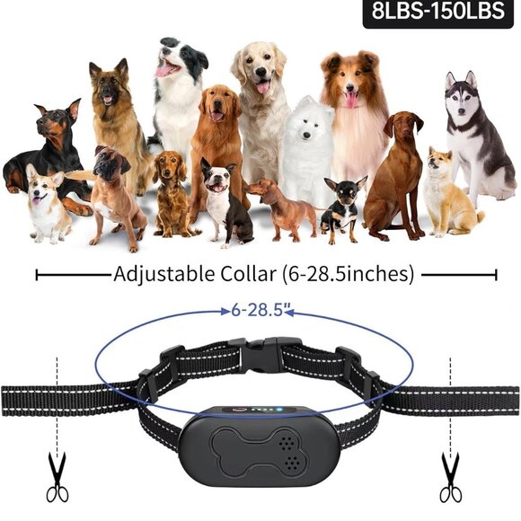 Dog Shock Collar with Remote Control - Picture 4 of 6